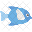 Aquatic Fish Fish Freshwater Fish Icon