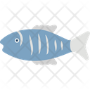 Aquatic Fish Fish Freshwater Fish Icon