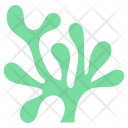 Aquatic Plant Icon