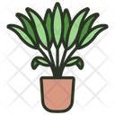 Areca Palm Plant Nature Icon