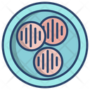 Arepa  Icon