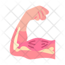Arm Body Part Muscle Icon