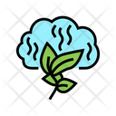 Aroma Plant Aroma Plant Icon