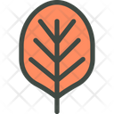 Aronia Chokeberry Chokeberry Leaf Icon
