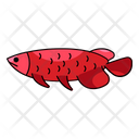 Arowana Fish Freshwater Icon