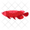 Arowana Unique Animal Icon