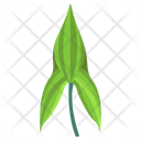 Arrow Head Leaf Icon