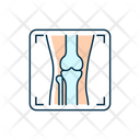 Arthritis X Ray Icon