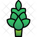 Artichoke Plant Healthy Icon