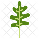 Vegetable Food Vegetarian Icon