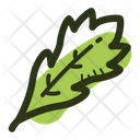 Arugula Leaf Icon