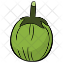 Ash Gourd Vegetable Healthy Vegetable Icon