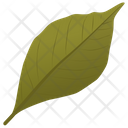 Ash Leaf Leaf Green Leaf Icon
