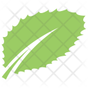 Ash Leaf Icon