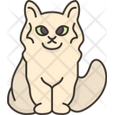 Asian Longhair Cat Icon