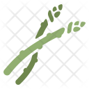 Asparagus Vegetable Healthy Icon