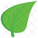 Leaf Plant Nature Icon