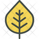 Aspen Leaf Nature Icon