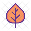 Aspen leaf Icon