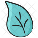 Aspen Leaf Blossom Flower Icon
