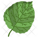 Aspen Leaf Icon