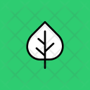 Aspen leaf Icon