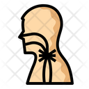 Asthma  Icon