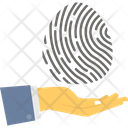 Authentic data Icon