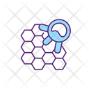 Autoimmune Disease  Icon