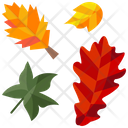 Autumn Leaves Wind Icon