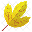 Autumn Leaf Leaf Leaf In Fall Icon