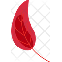Autumn Leaf Colorful Symbol Cartoon Foliage Design Element Icon