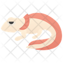 Axolotl Icon