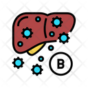 B Type Liver Icon