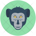 Baboon Icon