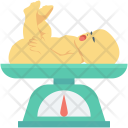 Baby Weight Infant Icon