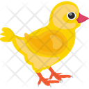 Baby Chicken Icon
