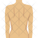 Anatomy Back Body Icon