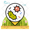Bacteria Icon