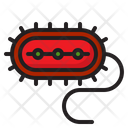 Bacteria Coronavirus Virus Icon