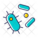 Bacteria Microorganism Amoeba Icon
