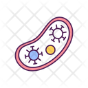 Bacteria Virus Variant Icon