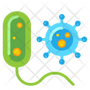 Bacteria And Virus Icon