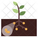 Bacteria Soil Icon