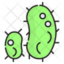 Bacterie Virus Infection Icon