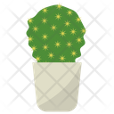 Ball Cactus Plant Icon