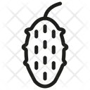 Balsam-pear Icon