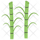 Bamboo Plant Sugarcane Icon