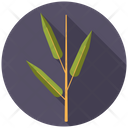 Bamboo Grass Nature Icon