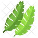 Banana Leaf Icon